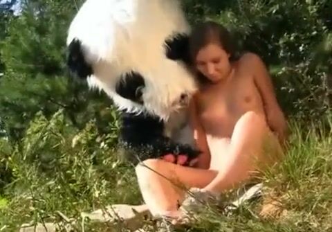 Панда в лесу: 257 порно видео